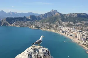 Nieruchomości na sprzedaż w Alicante