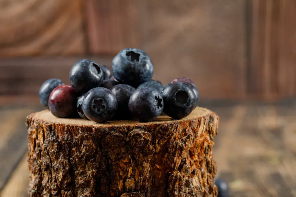 Owoce borówki amerykańskiej na ściętym pniu ndrzewa