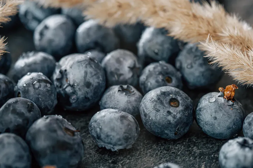 Borówki amerykańskie w przybliżeniu, obok uschnięty kłos
